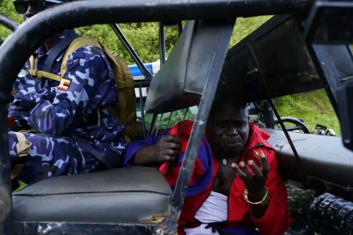 FB_IMG_17625925576440302