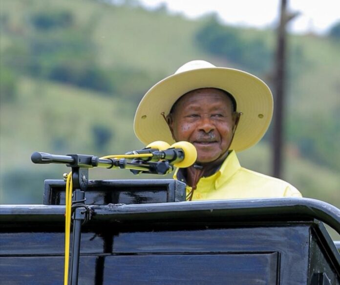 Polish_20251128_075542675