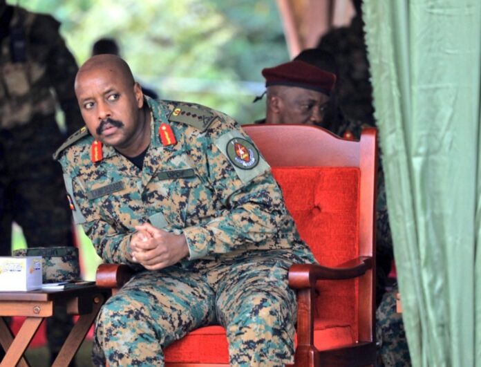 Screenshot_20260210_131851_X